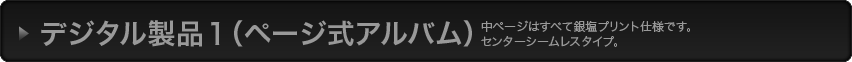 デジタル製品1（ページ式アルバム）