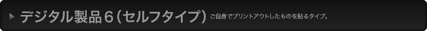 デジタル製品6（セルフタイプ）