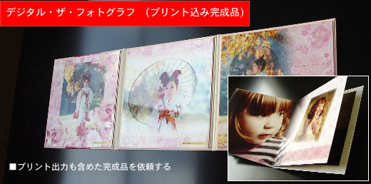 デジタル・ザ・フォトグラフ　完成品